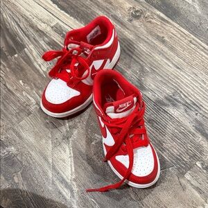 Kids Nike Dunks Sneakers